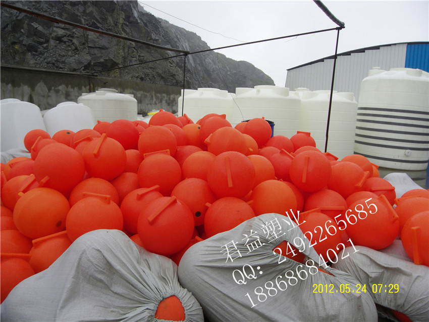 SDC11136